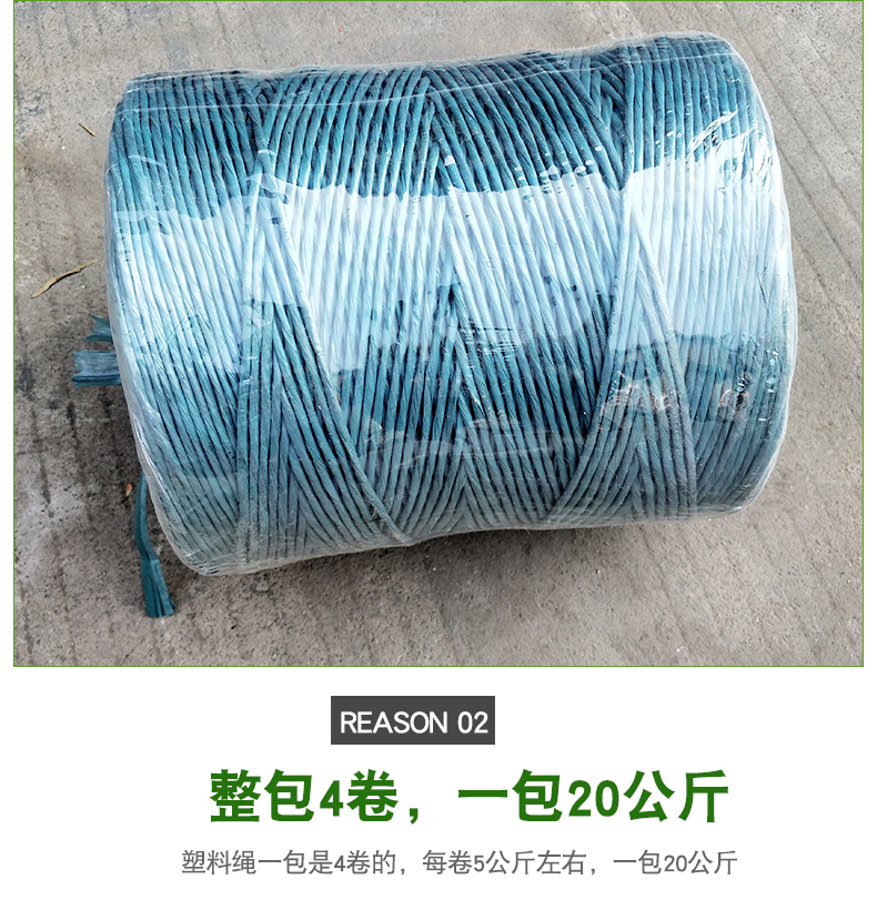 藍(lán)塑料繩詳情_(kāi)06